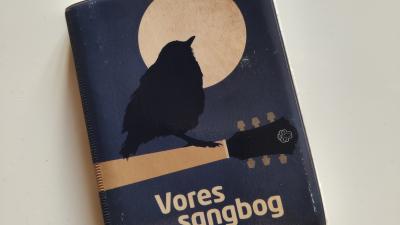 DDS sangbog